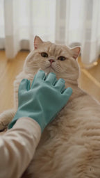 The Calm Groom Gloves